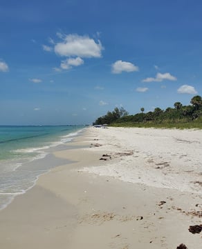 Clam Pass Park