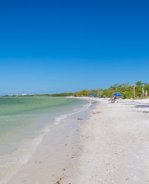 Bunche Beach Preserve