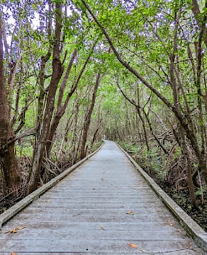 Four Mile Cove Ecological Preserve